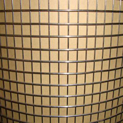 Manufacture in China 1/4 inch stainless steel welded wire mesh fence